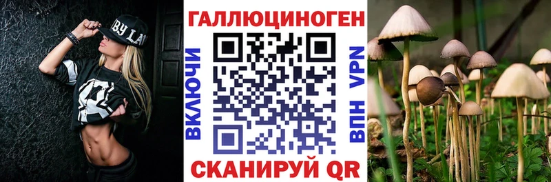 гидра ONION  Мостовской  Псилоцибиновые грибы MAGIC MUSHROOMS  купить наркоту 